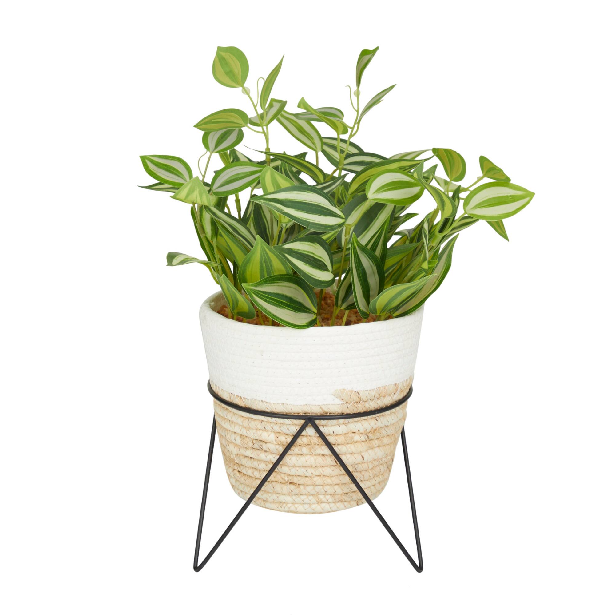 16" Potted Green Rattan Coastal Artificial Foliage